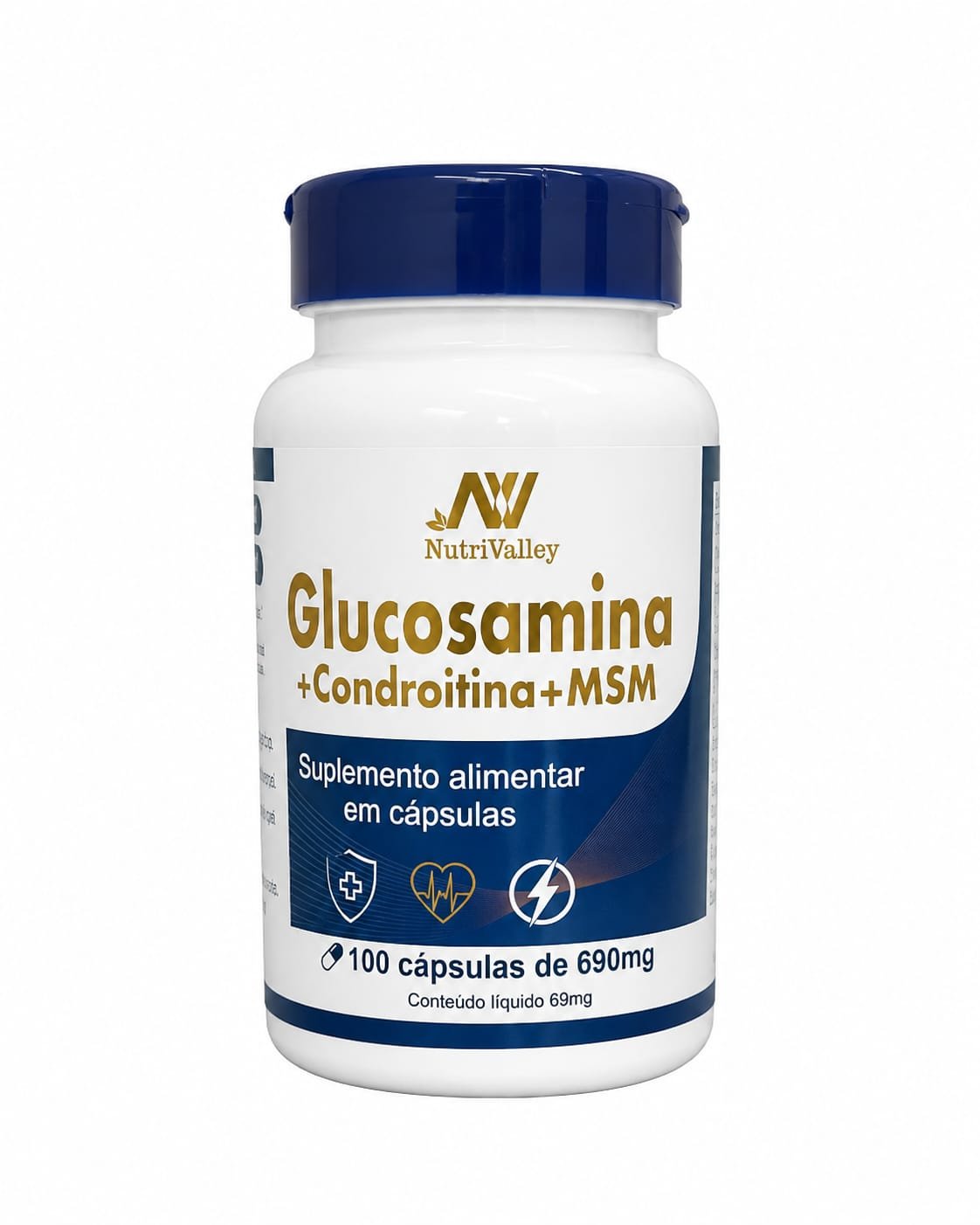 Glucosamina+Condroitina+MSM - 690mg 100 capsulas